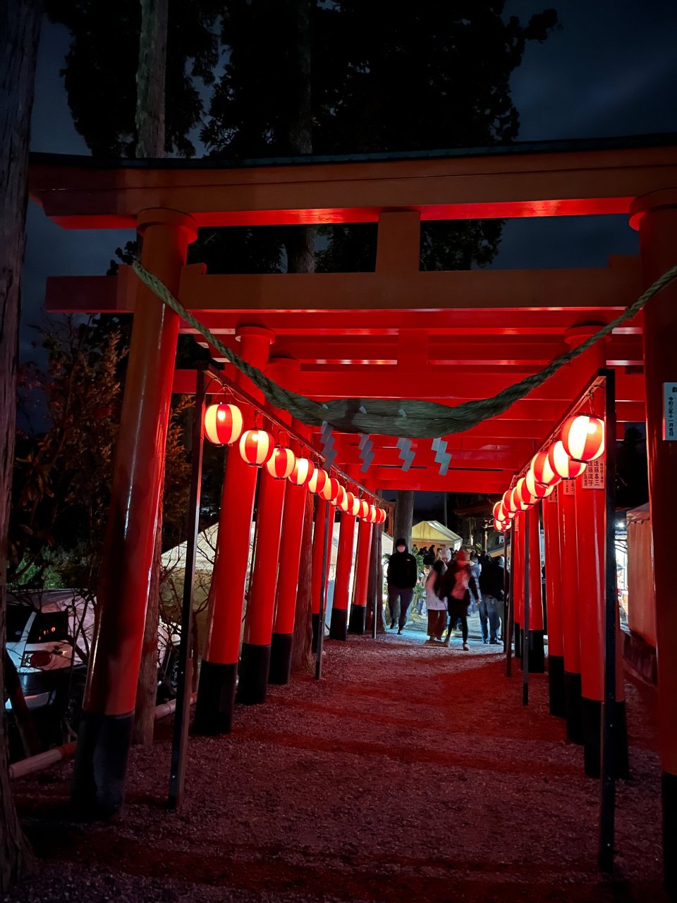 福島市の可愛いペット大集合! | I♥PETs(アイラブペット)