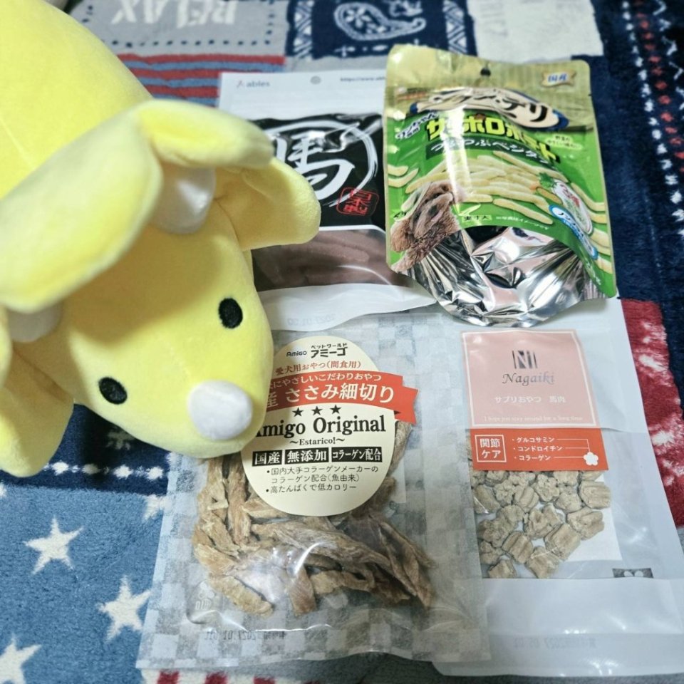 https://www.gurutto-fukushima.com/db_img/cl_img/468/news/images/app_E1sRmx_202606152016.jpg