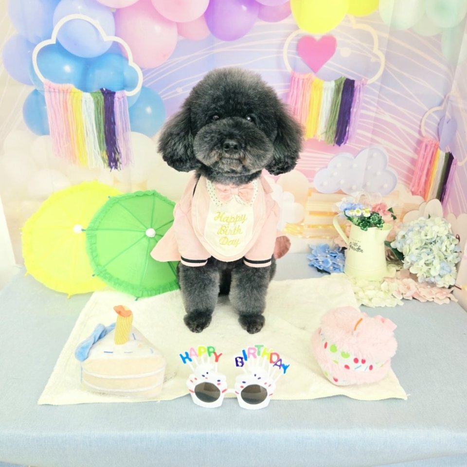https://www.gurutto-fukushima.com/db_img/cl_img/468/news/images/app_QJ8HII_202606152016.jpg