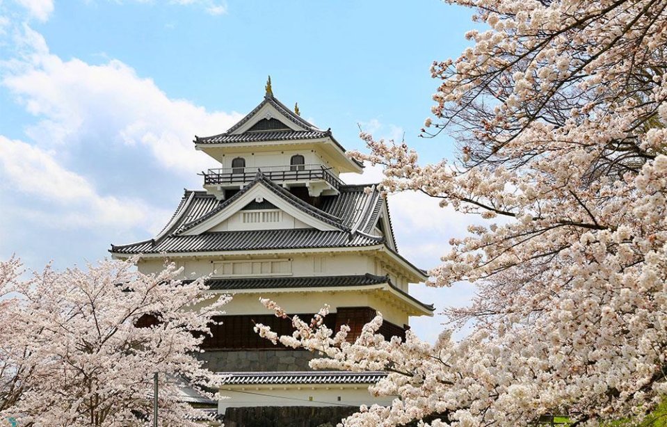 上山城と月岡公園の桜 山形県上山市 婚活デートスポット 2018 04 02 アエルふくしま 福島市 伊達市 二本松市 結婚相談所 婚活