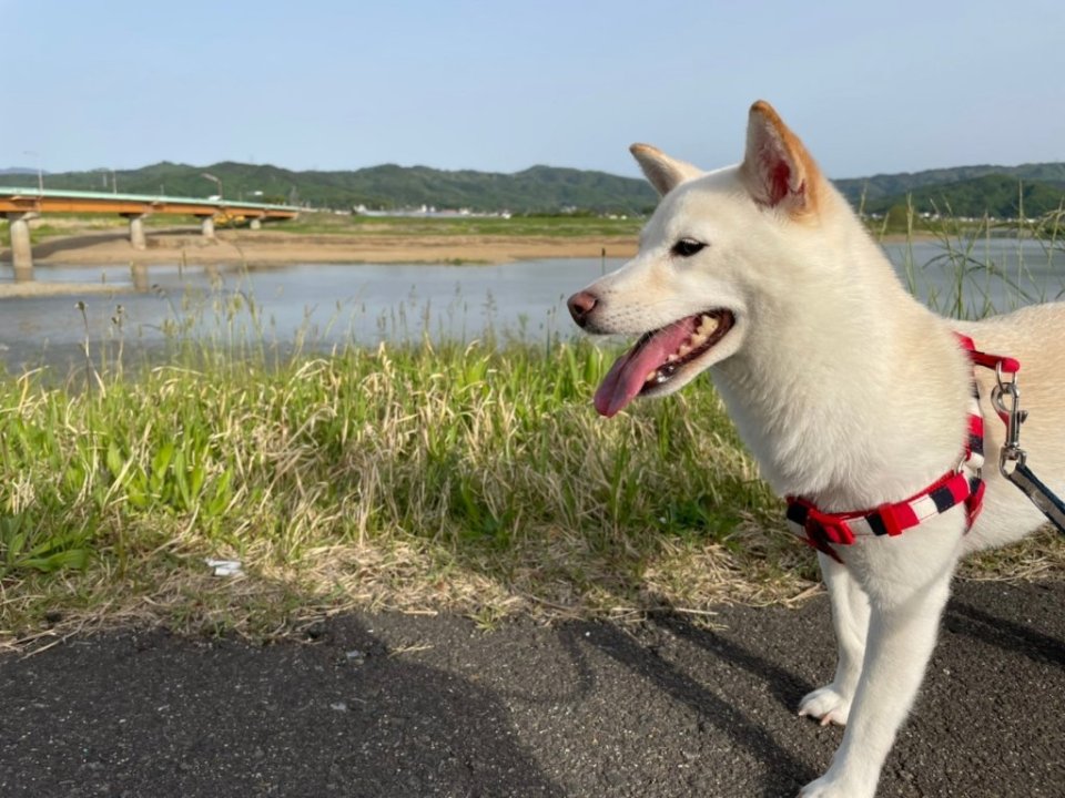 http://www.gurutto-fukushima.com/db_img/cl_img/1384/news/images/app_Y2f5au_202105060919.jpg